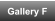 Gallery F