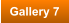 Gallery 7