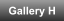 Gallery H