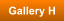 Gallery H