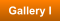 Gallery I