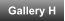 Gallery H