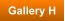 Gallery H