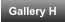 Gallery H