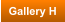 Gallery H