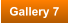 Gallery 7