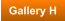 Gallery H