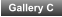 Gallery C