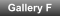 Gallery F