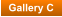 Gallery C