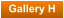 Gallery H
