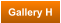 Gallery H