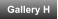 Gallery H