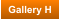 Gallery H